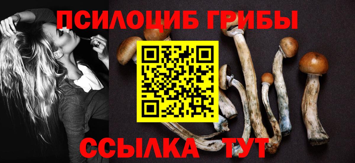 Галлюциногенные грибы мицелий  Вход с VPN  Сыктывкар 